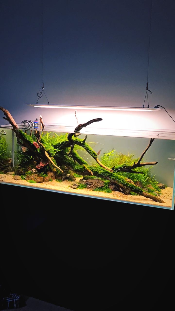 Instagram post by @fruity0ne