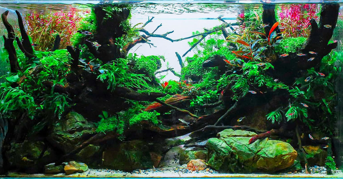 Instagram post by @jackfryerscapes