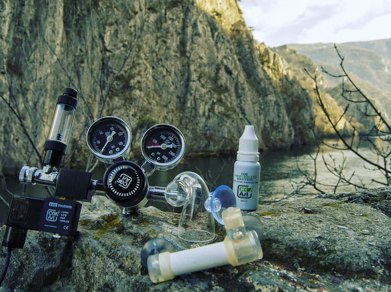 Instagram post by @skopje_aquascaping