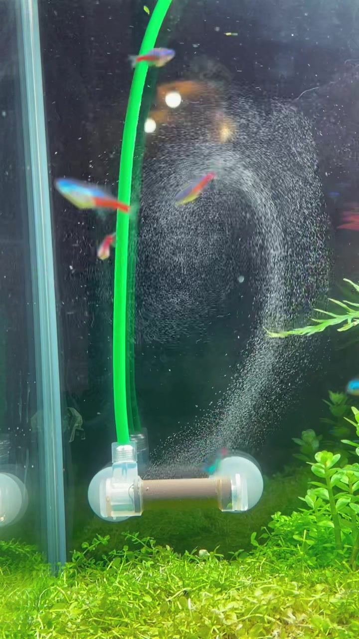 TikTok video by @aquascaping.passion