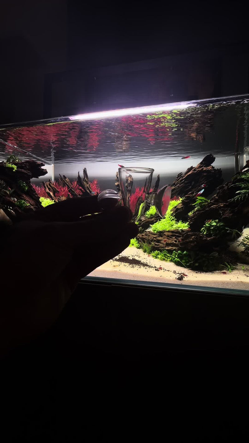 TikTok video by @aquascaping.passion